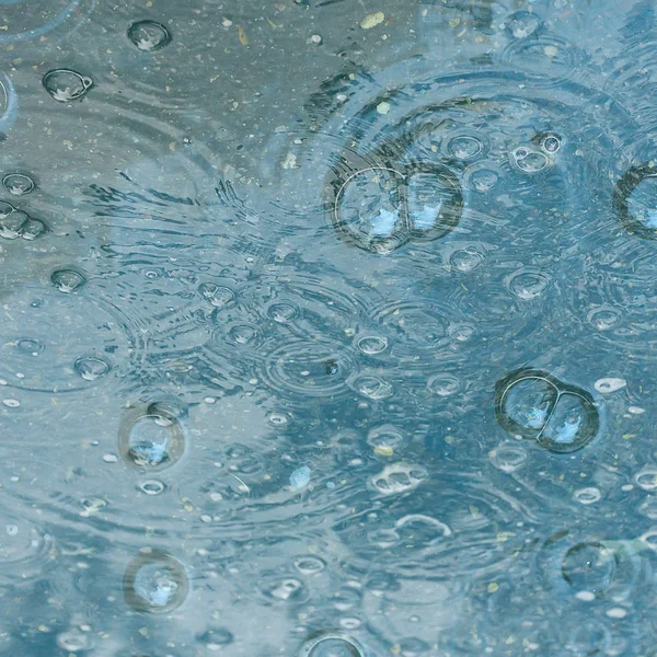 Sfondo Blu Pozzanghera Pioggia Gocce Pioggia Cerchi Una Pozzanghera Bolle — Foto Stock