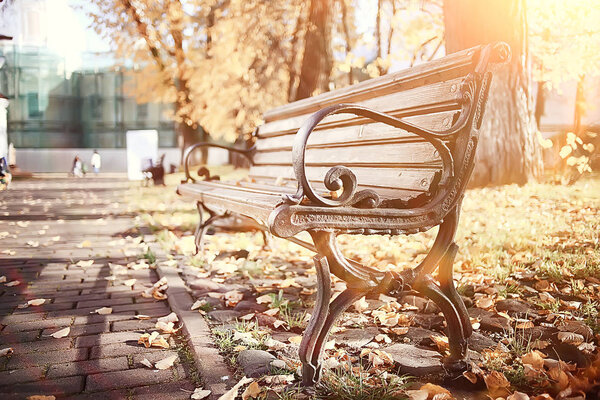 bench in autumn park landscape / seasonal landscape rest in autumn lonely park
