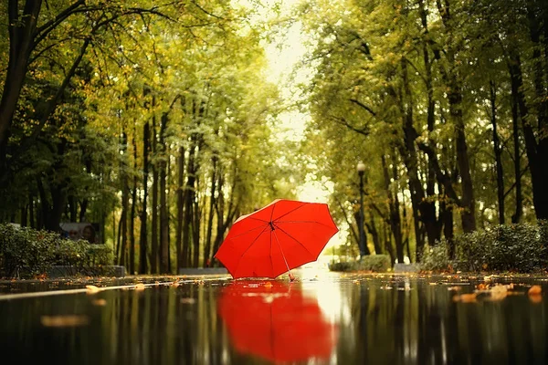 Дождевые Капли Концепция Влажной Погоды Абстрактные Капли Струи Воды Осенний — стоковое фото