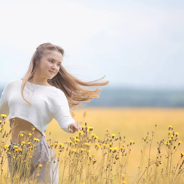 Nature Automne Champ Mannequin Fille Paysage Dans Champ Été Beau — Photo