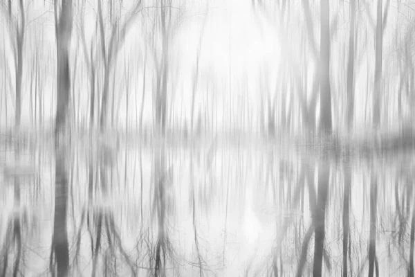 Verschwommen Herbst Hintergrund Park Gelbe Tapete Herbst Wald Konzept Der — Stockfoto