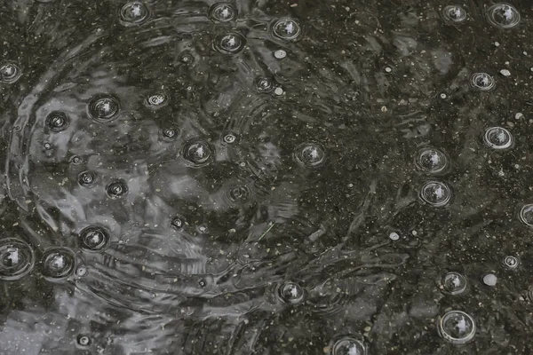 Fundo Poça Chuva Círculos Gotas Uma Poça Textura Com Bolhas — Fotografia de Stock