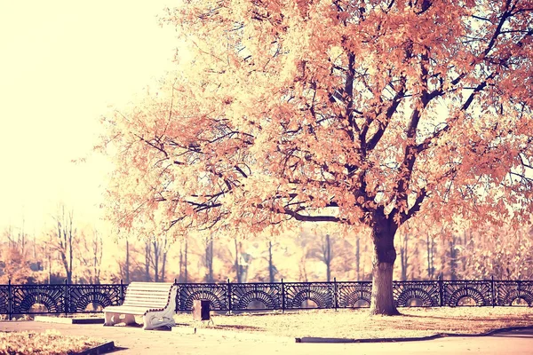 Bank Herbst Parklandschaft Saisonale Landschaftspause Herbst Einsamer Park — Stockfoto