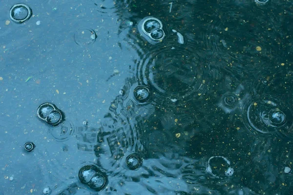 蓝色背景水坑雨 水坑上的圆圈 水中的气泡 天气是秋天 — 图库照片
