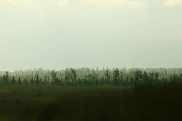 Forêt Automne Nord Paysage Dans Forêt Automne Nord Vue Sur — Photo