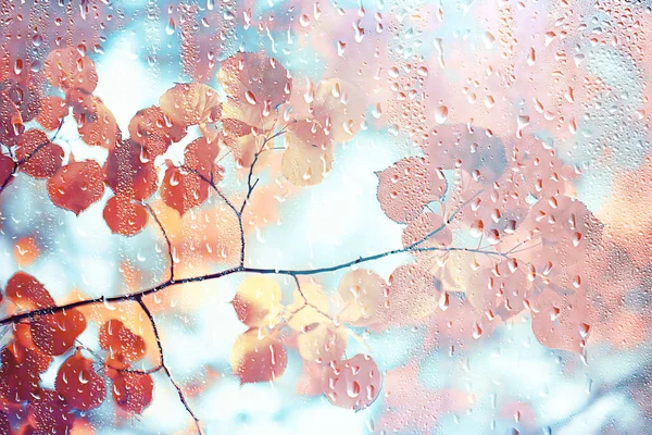 Herfst Glas Regen Landschap Abstract Herfst Weergave Nat Weer Klimaat — Stockfoto