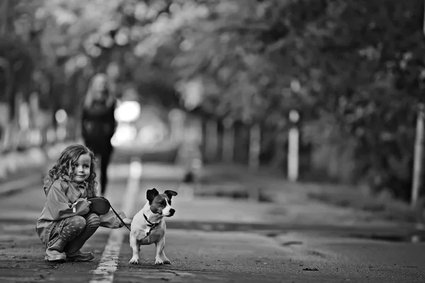Kleines Mädchen Mit Hund Jack Russell Terrier Kind Kindheit Freundschaft — Stockfoto