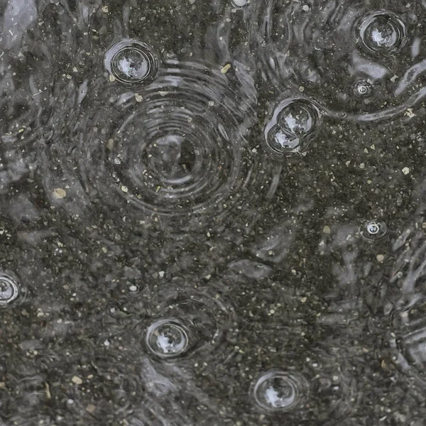 Fundo Poça Chuva Círculos Gotas Uma Poça Textura Com Bolhas — Fotografia de Stock