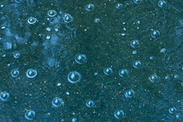 Sfondo Blu Pozzanghera Pioggia Gocce Pioggia Cerchi Una Pozzanghera Bolle — Foto Stock