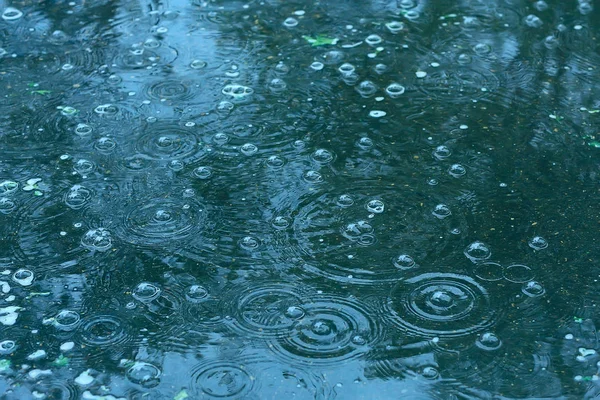 蓝色背景水坑雨 水坑上的圆圈 水中的气泡 天气是秋天 — 图库照片