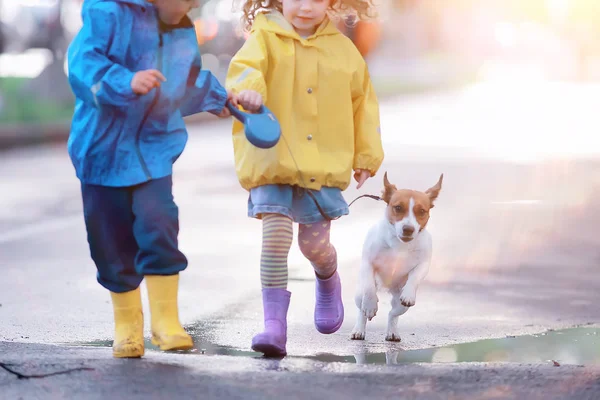 Dzieci Pies Jesień Dwoje Dzieci Chłopiec Dziewczynka Chodzenie Małym Psem — Zdjęcie stockowe