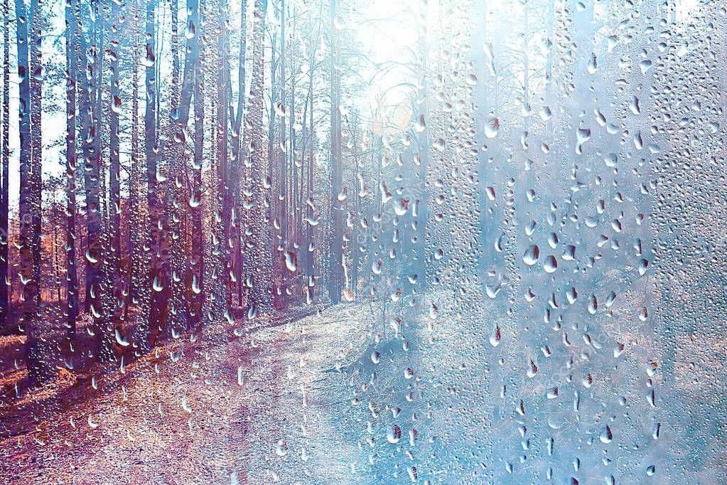 autumn glass rain landscape / abstract autumn view, wet weather, climate, glass