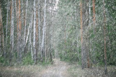 yağmur hava damla / ıslak hava kavramı, soyut damla ve su jetleri, sonbahar yağmur