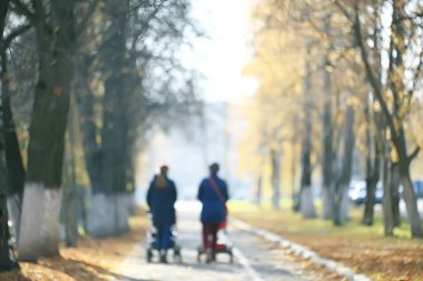 parkta sonbahar manzara / mevsimlik sarı manzara düşmüş yaprakları ile güneşli park