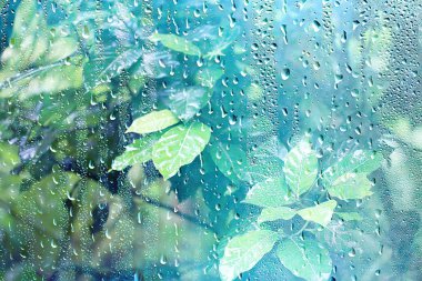 pencere bulanık arka plan dışında yağmurlu bir günde yaz yağmur ıslak cam / soyut arka plan manzara
