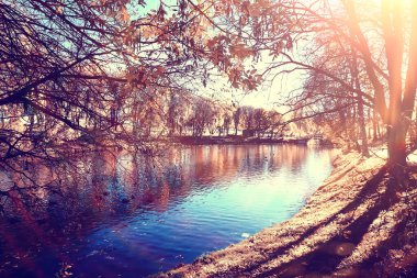 sarı bir parkta sonbahar parkı güneş manzara / mevsimlik sonbahar manzara, Ekim ayında gün batımında güneş ışınları