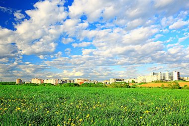 banliyölerinde sarı çiçekler ile karahindiba alan şehir / soyut yaz peyzaj alanı