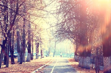 sarı bir parkta sonbahar parkı güneş manzara / mevsimlik sonbahar manzara, Ekim ayında gün batımında güneş ışınları