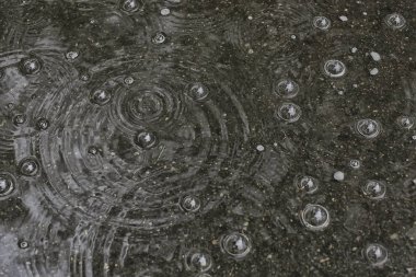 arka plan su birikintisi yağmur / daireler ve damla bir su birikintisi, suda kabarcıklar ile doku, sonbahar yağmur