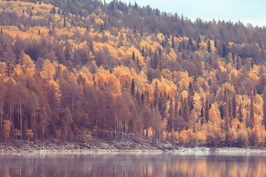 sonbahar orman kuzey / sonbahar orman peyzaj, kuzey, sonbahar sezonunda doğa görünümü