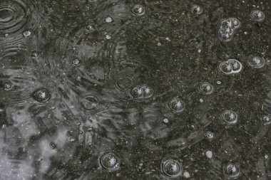 arka plan su birikintisi yağmur / daireler ve damla bir su birikintisi, suda kabarcıklar ile doku, sonbahar yağmur