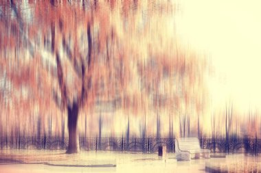 bulanık sonbahar arka plan parkı / sarı duvar kağıdı, sonbahar ormanı, mevsimlik peyzaj kavramı, ağaçlar dalları, yapraklar