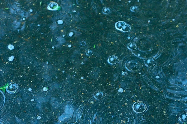 빗방울의 파란색 웅덩이 웅덩이에 동그라미 날씨는 가을입니다 — 스톡 사진