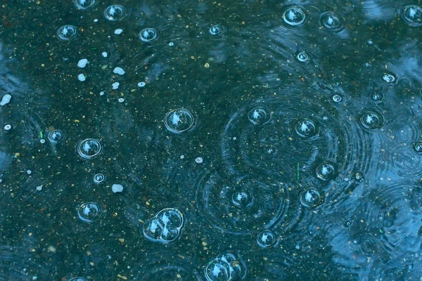 Fundo Azul Poça Chuva Gotas Chuva Círculos Uma Poça Bolhas — Fotografia de Stock