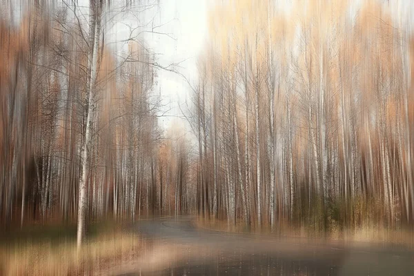 Sonbahar Parkı Manzara Konsept Doğa Mevsimlik Peyzaj Sezon Sonbahar Orman — Stok fotoğraf