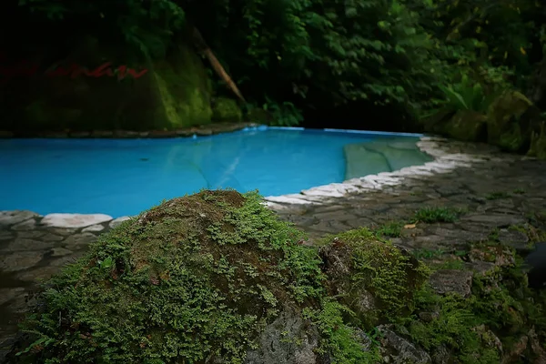 Tumbonas Del Hotel Piscina Descanso Hotel Tropical Descanso Cómodo Recreación — Foto de Stock