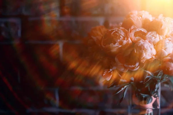 Букет Розовых Пионов Концептуальный Подарок Красивые Цветы Пионы Дома Летний — стоковое фото