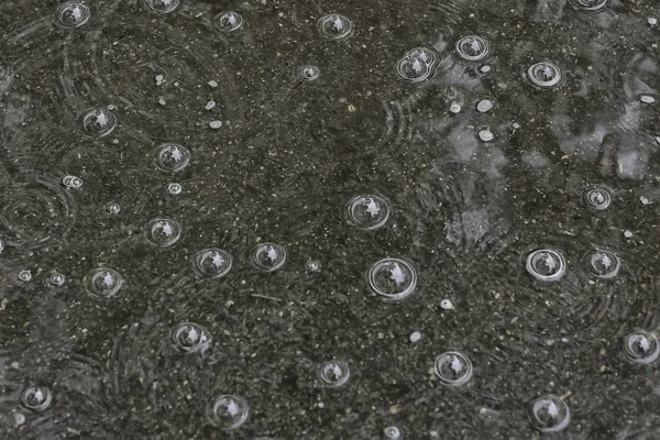 Fundo Poça Chuva Círculos Gotas Uma Poça Textura Com Bolhas — Fotografia de Stock