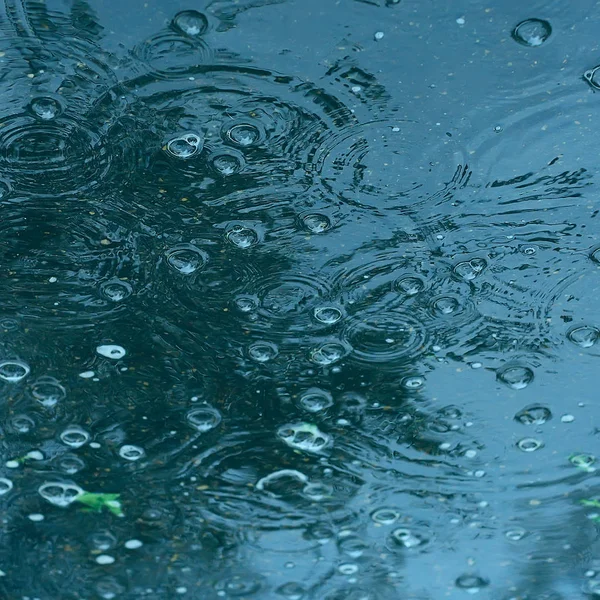 Modrá Pozadí Deště Dešťové Kapky Kruhy Louži Bubliny Vodě Počasí — Stock fotografie