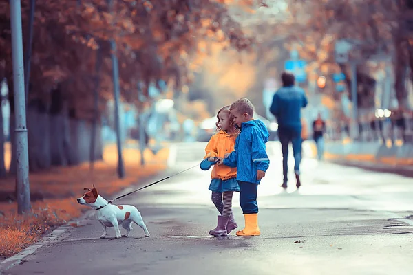 儿童狗秋天 两个孩子 一个男孩和一个女孩走在秋天公园的小狗 — 图库照片