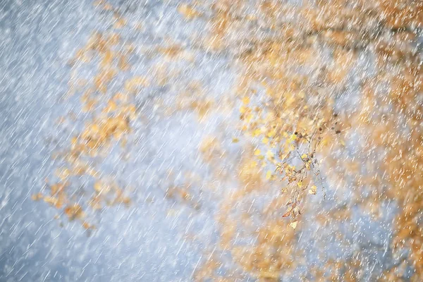 秋の雨の背景が落ちる 雨天の抽象的な秋の風景 公園の季節の風景 — ストック写真