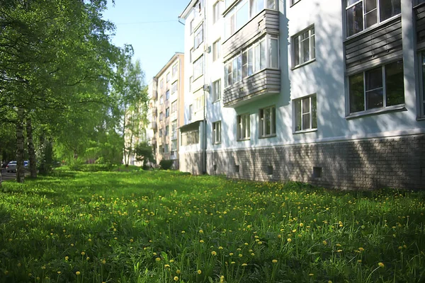 Maskrosor Field City Abstrakt Sommar Landskap Fält Med Gula Blommor — Stockfoto