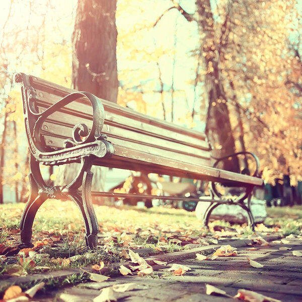 autumn park sun landscape / seasonal autumn landscape in a yellow park, sun rays at sunset in October