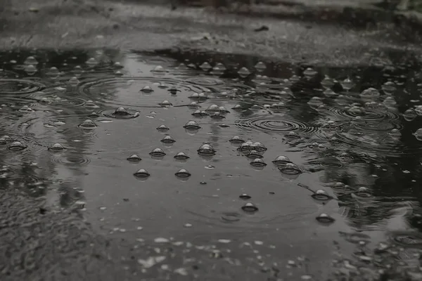 Background Puddle Rain Circles Drops Puddle Texture Bubbles Water Autumn — Stock Photo, Image