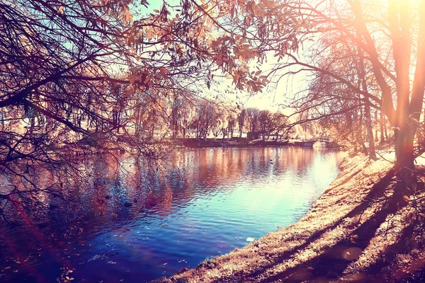 秋の公園の太陽の風景 黄色い公園の季節の秋の風景 10月の日没時の太陽の光 — ストック写真