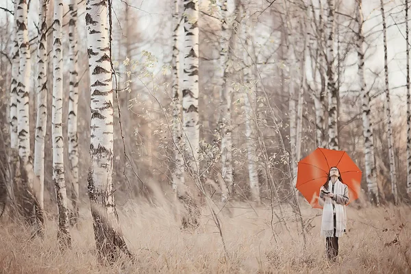 Дівчина Парасолька Ліс Пейзаж Осінь Вид Молода Жінка Парасолькою Міському — стокове фото