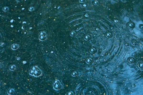 Charco Fondo Azul Lluvia Gotas Lluvia Círculos Charco Burbujas Agua — Foto de Stock