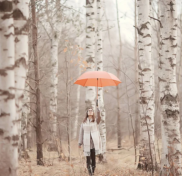 Νέα Γυναίκα Ομπρέλα Φθινόπωρο Φθινόπωρο Μοντέρνα Εμφάνιση Μοντέλο Ομπρέλα Βροχερές — Φωτογραφία Αρχείου