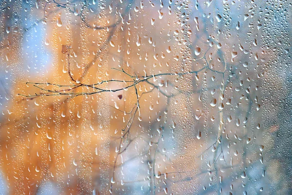 Lluvia Ventana Otoño Parque Ramas Hojas Amarillo Abstracto Otoño Fondo — Foto de Stock