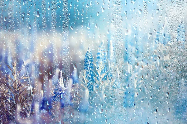 Summer Rain Wet Glass Abstract Background Landscape Rainy Day Window — Stock Photo, Image