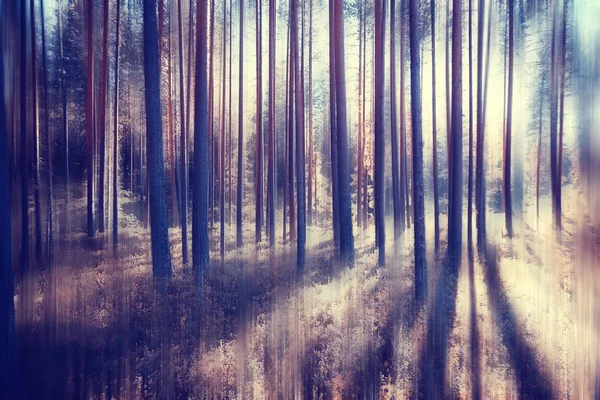 Autunno Foresta Movimento Offuscata Sfondo Morbido Giallo Natura Paesaggio Autunno — Foto Stock