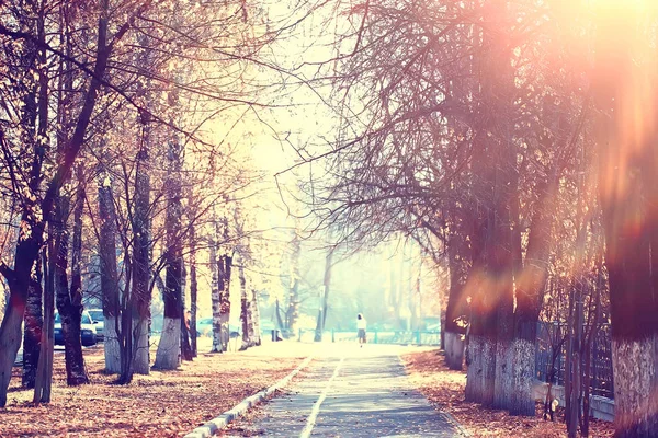 sarı bir parkta sonbahar parkı güneş manzara / mevsimlik sonbahar manzara, Ekim ayında gün batımında güneş ışınları