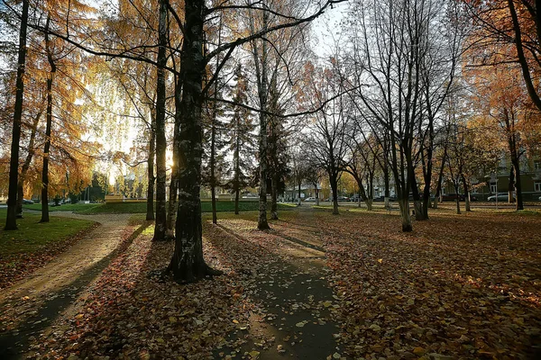 Jesień Park Słońce Krajobraz Sezonowe Jesienny Krajobraz Żółtym Parku Promienie — Zdjęcie stockowe