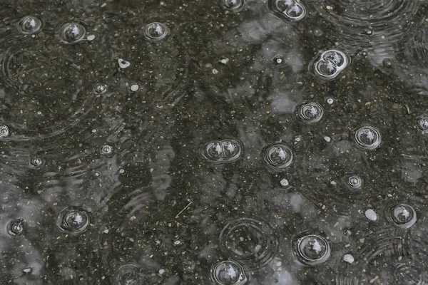 Fundo Poça Chuva Círculos Gotas Uma Poça Textura Com Bolhas — Fotografia de Stock