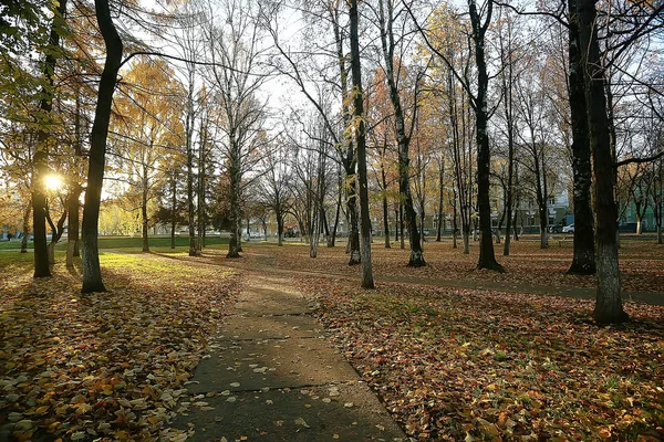 Jesienny Krajobraz Parku Sezonowy Żółty Krajobraz Słoneczny Park Opadłych Liści — Zdjęcie stockowe