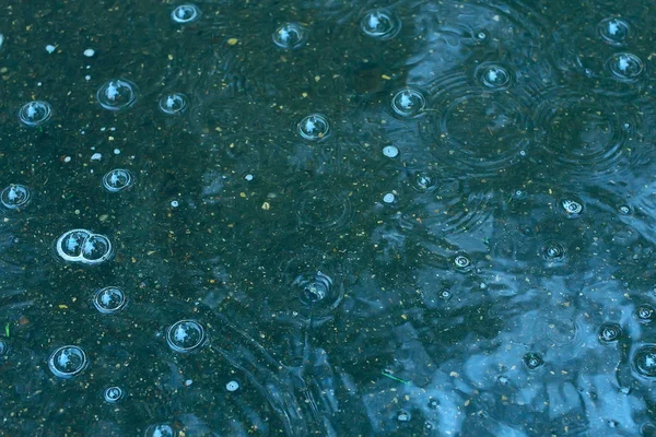 蓝色背景水坑雨 水坑上的圆圈 水中的气泡 天气是秋天 — 图库照片